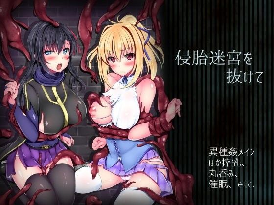 d 084536pl - 侵胎迷宮を抜けて【ハソユア】