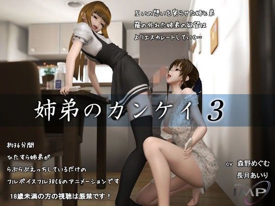d 096743pl - 姉弟のカンケイ3【IMP】