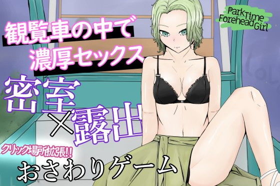 d 205505pl - ParkTimeForeheadGirl〜夜の観覧車でデコだし彼女と露出プレイ〜【青。】