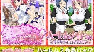 d 273253pl 320x180 - ハーレムシリーズ2作品パック【達急堂】