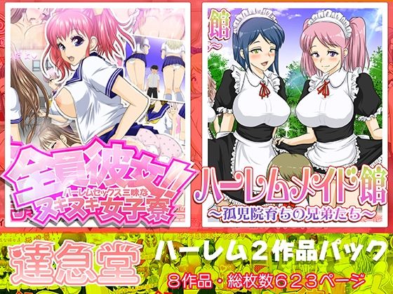 d 273253pl - ハーレムシリーズ2作品パック【達急堂】