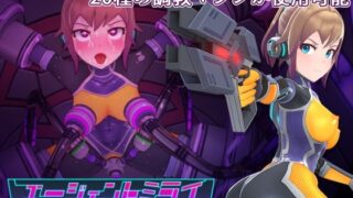 d 281202pl 320x180 - エージェントミライ【平凡うま味貴婦人II】