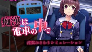 d 319919pl 320x180 - 痴●は電車の中で【変態＋tick】