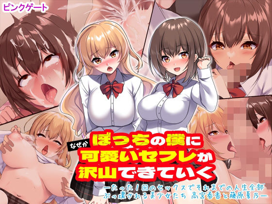 d 412429pl - ぼっちの僕になぜか可愛いセフレが沢山出来ていく〜たった1回のセックスでそれまでの人生全部ぶっ壊される美少女たち〜【ピンクゲート（旧シコり亭快楽）】
