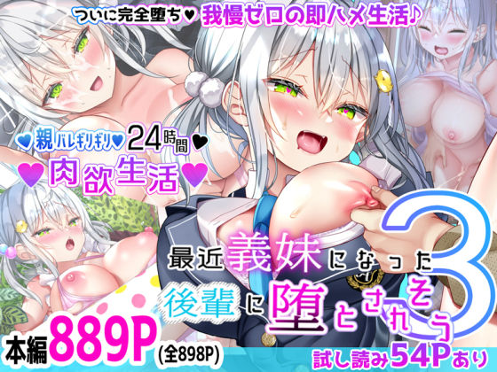 d 428792pl - 最近義妹になった後輩に堕とされそう3【なえぷち】