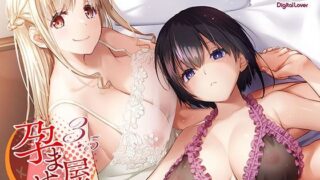 d 497751pl 320x180 - 孕ませ屋3.5【Digital Lover】