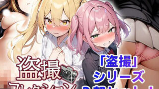 d 518223pl 320x180 - 盗撮コレクション【フェアリーソフト】