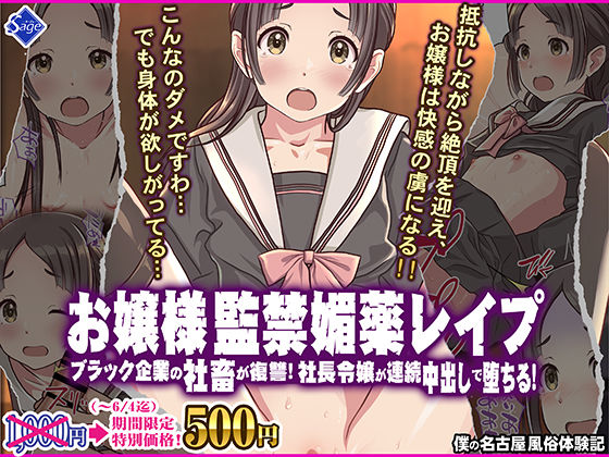 d 556416pl - お嬢様監禁媚薬レ●プ-ブラック企業の社畜が復讐！社長令嬢が連続中出しで堕ちる！-【Sage】