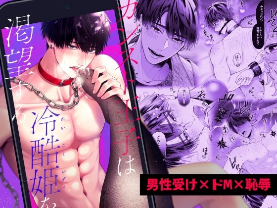 d 564744pl - 「カンスト王子は冷酷姫を渇望する」【伊達巻レデヰ】