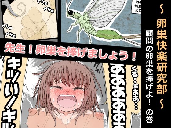 d 567019pl - 卵巣快楽研究部〜顧問の卵巣を掌握せよ！の巻き〜【ナンサークル】