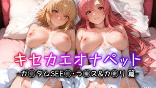 d 587588pl 320x180 - キセカエオナペット -ガ◯ダムSEE◯・ラ◯ス＆カ◯リ篇-【愛玩ファクトリー】