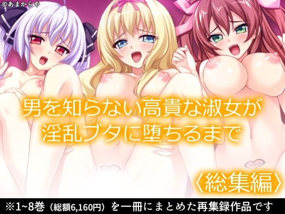 d 589664pl - 男を知らない高貴な淑女が淫乱ブタに堕ちるまで  ＜総集編＞【あまからや】