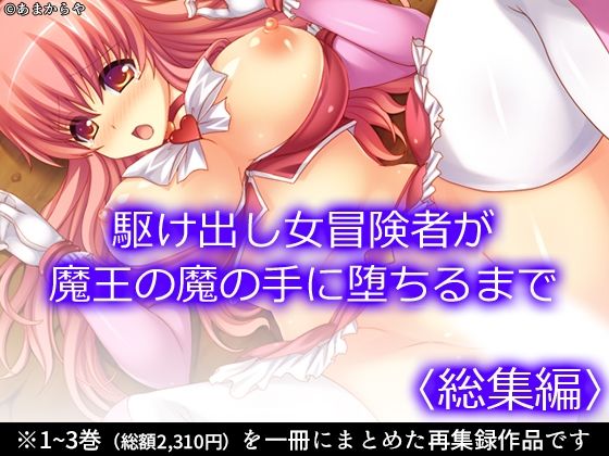 d 594646pl - 駆け出し女冒険者が魔王の魔の手に堕ちるまで  ＜総集編＞【あまからや】