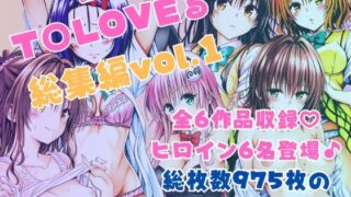 d 595345pl 320x180 - ToLOVEる総集編vol.1【あんらいふ】