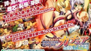 d 033420pl 320x180 - プリンセスナイト☆カチュア Vol.02 淫堕の女王【わるきゅ〜れ】