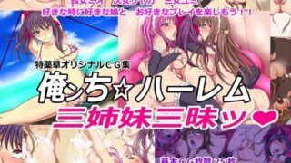 d 046906pl 320x180 - 俺ンち☆ハーレム 三姉妹三昧【特薬草】