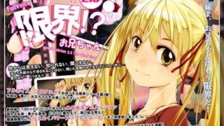 d 047353pl 320x180 - 限界！？お兄ちゃん2.5【いぬすく】