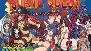 d 047880pl 320x180 - 奴●アニメRPG〜スレイヴクエスト〜ver1.3【WILD FLOWER】