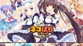d 075819pl 320x180 - ネコぱら vol.1 ソレイユ開店しました！【NEKO WORKs】