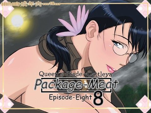 d 084447pl - Package-Meat8【しあわせプリン堂】