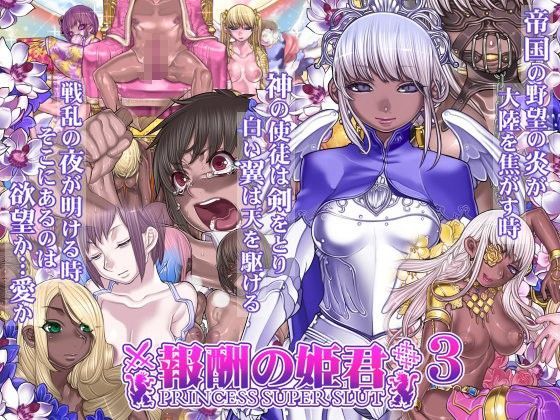 d 084638pl - 報酬の姫君3 princess super slut3【pinkjoe】