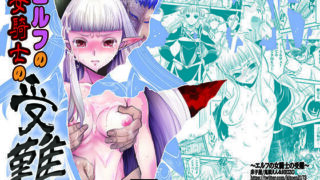 d 093140pl 320x180 - エルフの女騎士の受難【床子屋】