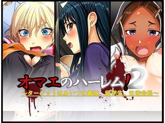 d 094361pl - オマエのハーレム！2〜ターゲットはあいつの義妹、留学生、生徒会長〜【五百年貯金箱】