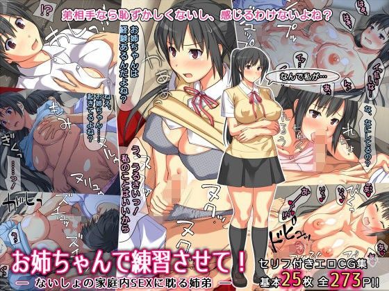 d 105334pl - お姉ちゃんで練習させて！ ― ないしょの家庭内SEXに耽る姉弟 ―【ぱすとG （Past Gadget）】