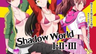 d 106817pl 320x180 - 【総集編】Shadow World I・II・III【ぽっぺんはいむ】