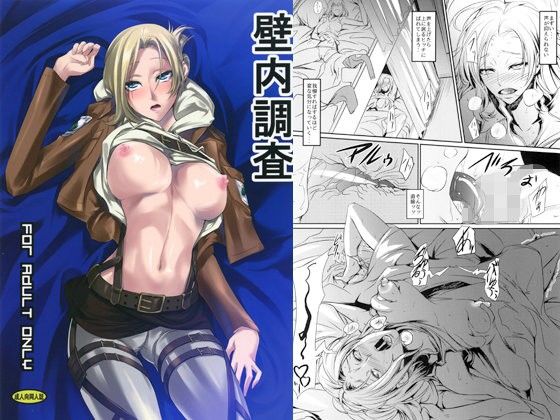 d 109777pl - 壁内調査【DEX＋】