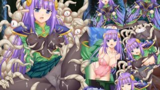 d 113571pl 320x180 - 姫騎士フェリアーナの憂鬱【小山電脳技研】