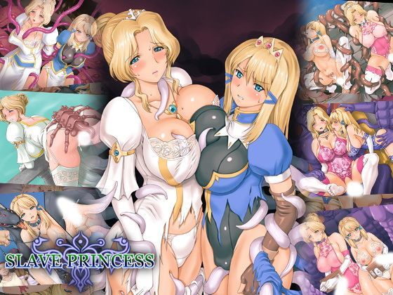 d 115898pl - SlavePrincess【小山電脳技研】