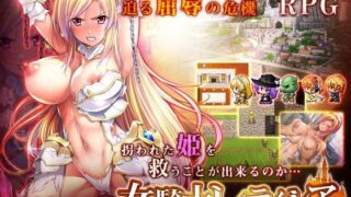 d 116953pl 320x180 - 女騎士レティシア【ディーゼルマイン】