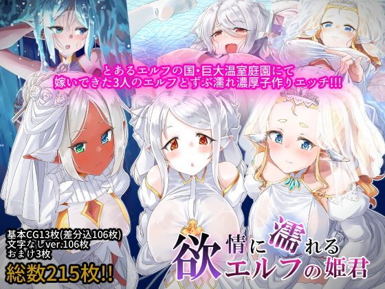 d 126203pl - 欲情に濡れるエルフの姫君【T-Project】