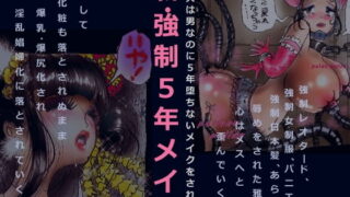 d 132566pl 320x180 - 新・強●5年メイク【女人化研究所】