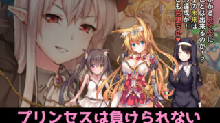 d 140083pl 320x180 - プリンセスは負けられない【AVANTGARDE】