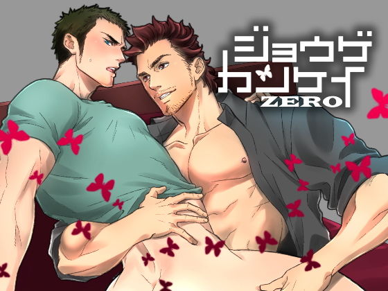 d 140975pl - ジョウゲカンケイ ZERO【アンノウン】
