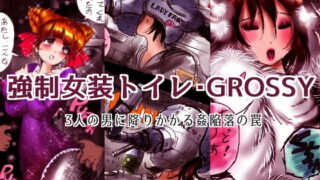d 148318pl 320x180 - 強●女装トイレ・grossy【女人化研究所】