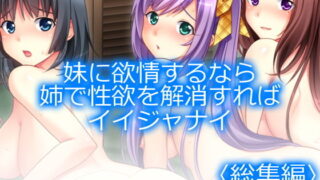 d 168958pl 320x180 - 妹に欲情するなら姉で性欲を解消すればイイジャナイ ＜総集編1-7＞【アロマコミック】
