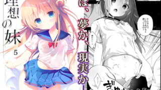 d 174781pl 320x180 - 理想の妹5【INS-mode】