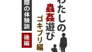 d 175667pl 320x180 - わたしの蟲姦遊び ゴキブリ 第2話 後編【シングルママの日常】