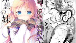 d 178302pl 320x180 - 理想の妹6【INS-mode】