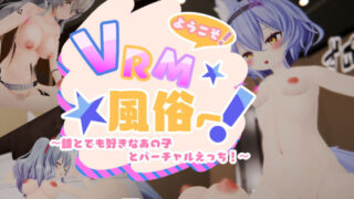 d 191784pl 320x180 - ようこそVRM風俗へ〜好きなあの子とバーチャルえっち！〜【area645】
