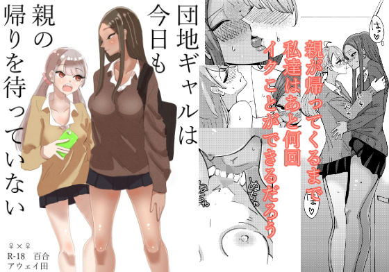 d 192845pl - 団地ギャルは今日も親の帰りを待っていない【アウェイ田】