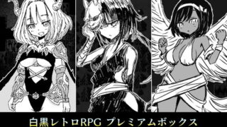 d 205572pl 320x180 - 白黒レトロRPGプレミアムボックス【四畳半ファクトリー】