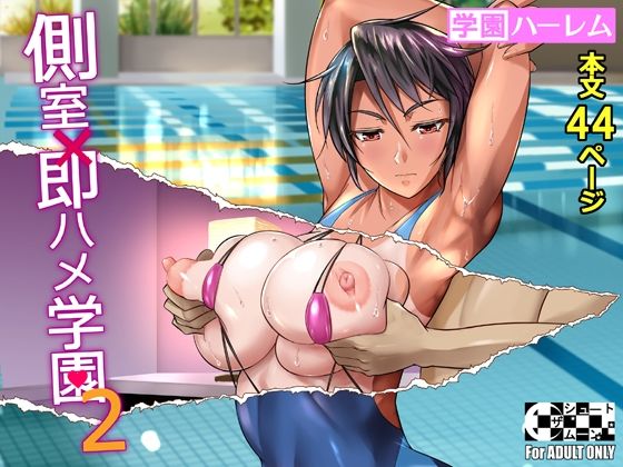 d 208455pl - 側室×即ハメ学園2【シュート・ザ・ムーン】