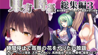 d 208940pl 320x180 - 東方時姦総集編3【背徳漢】