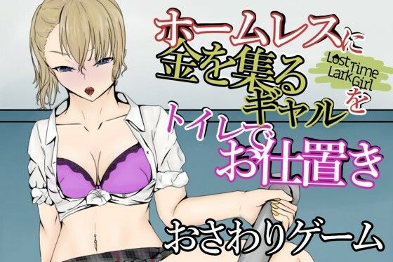 d 210435pl - LostTimeLarkGirl〜ホームレスに突っかかるギャルを多目的トイレでお仕置き〜【青。】