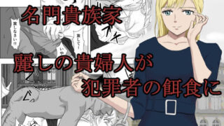 d 211146pl 320x180 - 底辺おじさん 伯爵夫人編【紀山ハル】