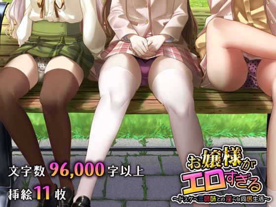 d 211211pl - お嬢様がエロすぎる 〜ドスケベ三姉妹との淫らな同居生活〜【聖華快楽書店】